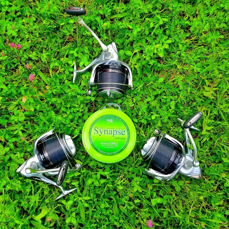 Katran Synapse Wild Carp – Bild 5